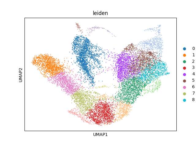 umap plot