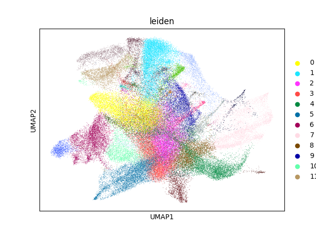 umap plot