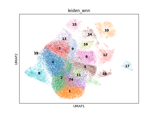 umap plot