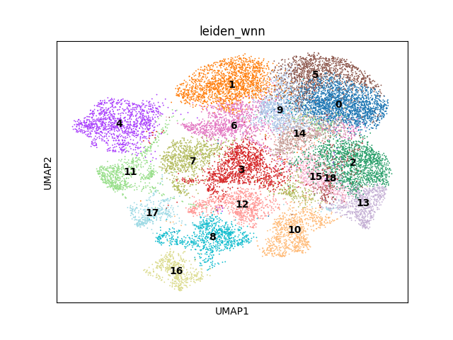 umap plot