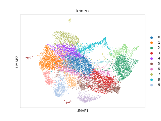 umap plot