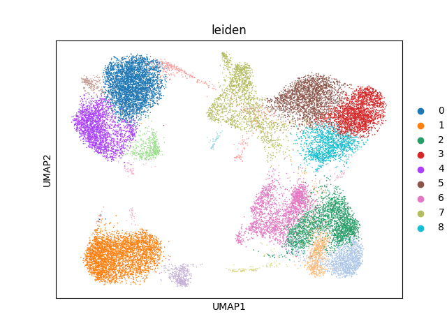 umap plot