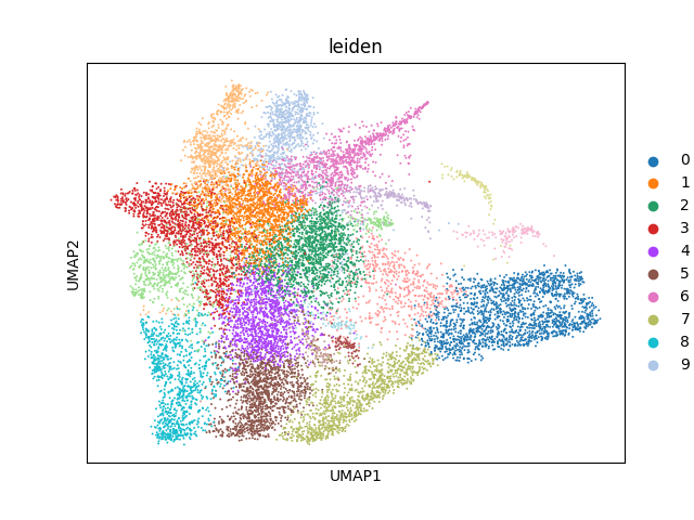 umap plot