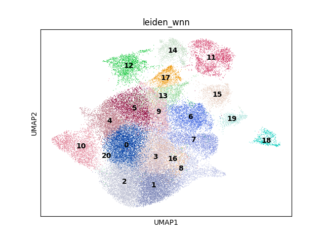 umap plot