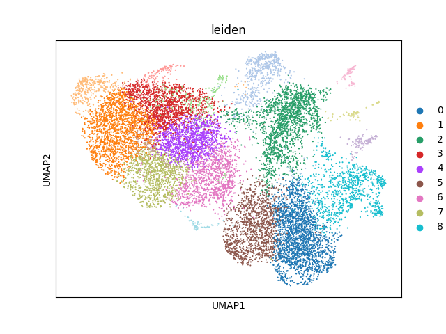 umap plot