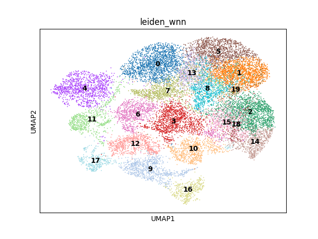 umap plot