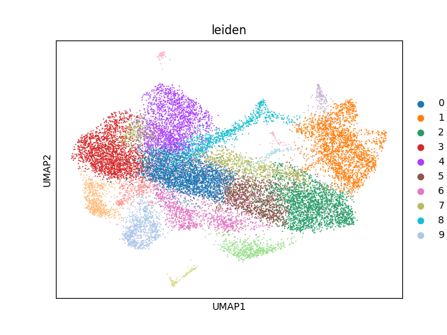 umap plot