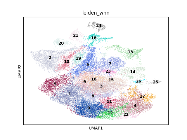 umap plot