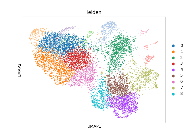 umap plot