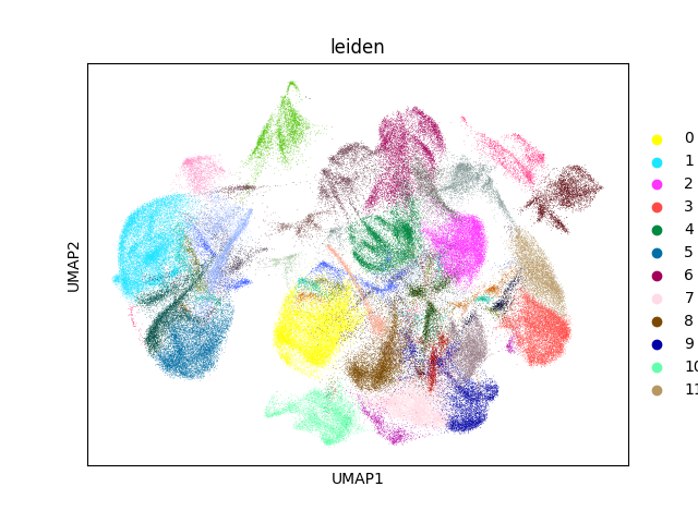 umap plot
