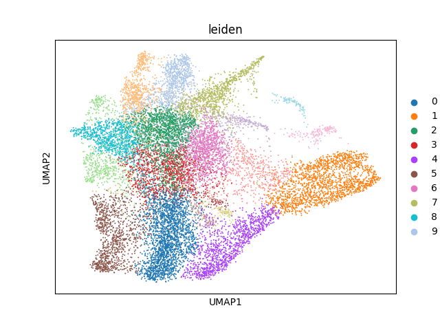 umap plot