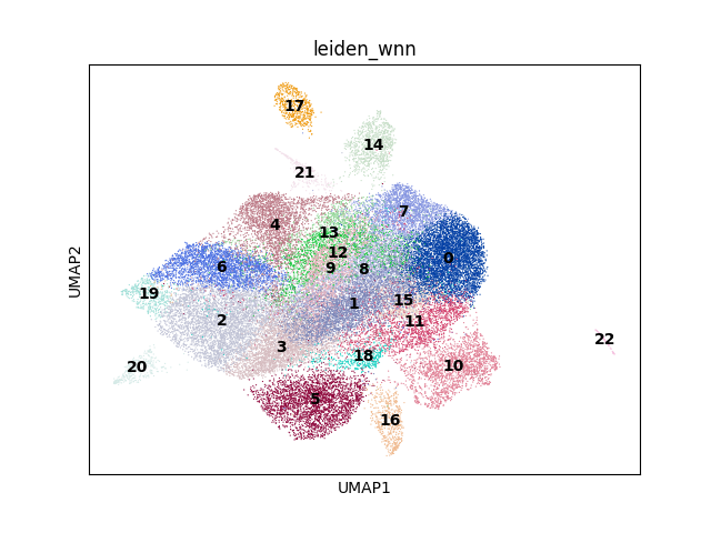 umap plot