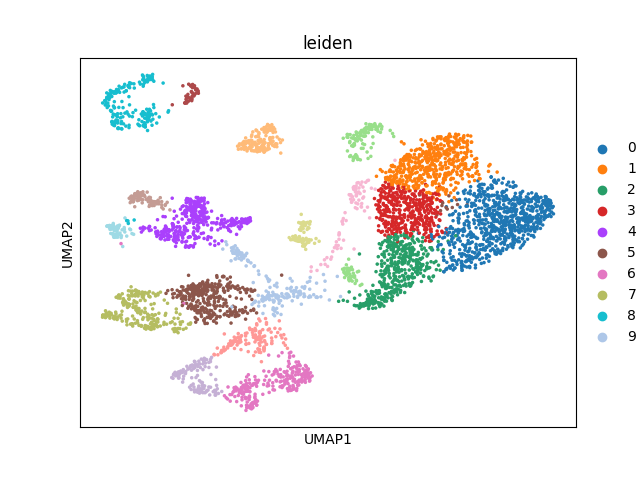 umap plot