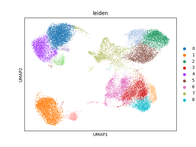 umap plot